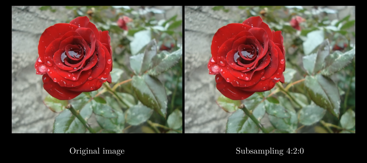 og_image-subsample.png